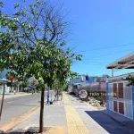 Đi bộ ra biển 300m - Khu tái định cư Phước Hải - 8x20m siêu rẻ - Ảnh thu nhỏ 12