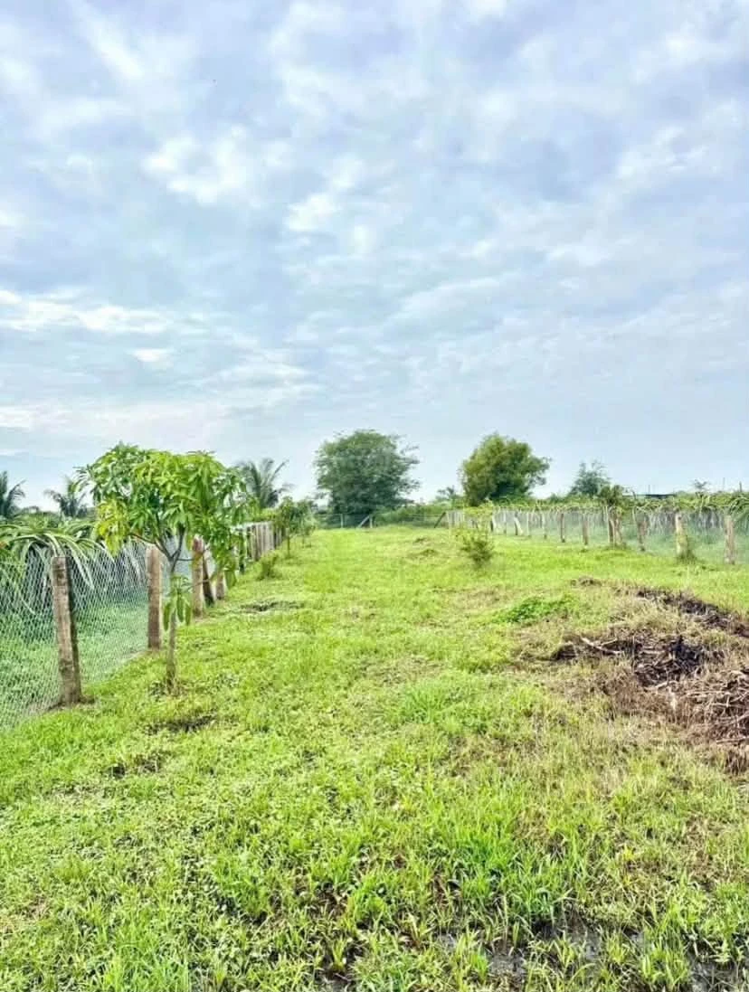 Bán đất mặt tiền 1 sào Hàm Liêm gần Phan Thiết - Ảnh thu nhỏ 2