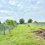 Bán đất mặt tiền 1 sào Hàm Liêm gần Phan Thiết - Ảnh thu nhỏ 2