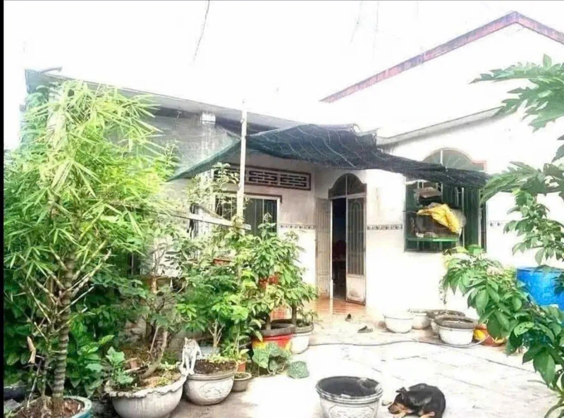 Bán nhà 174.6m² 3 phòng ngủ Giồng Trôm Bến Tre