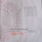 Bán vườn 1000m² tại xã Tư Nghĩa, Bình Dương 1,4 tỷ - Ảnh thu nhỏ 1