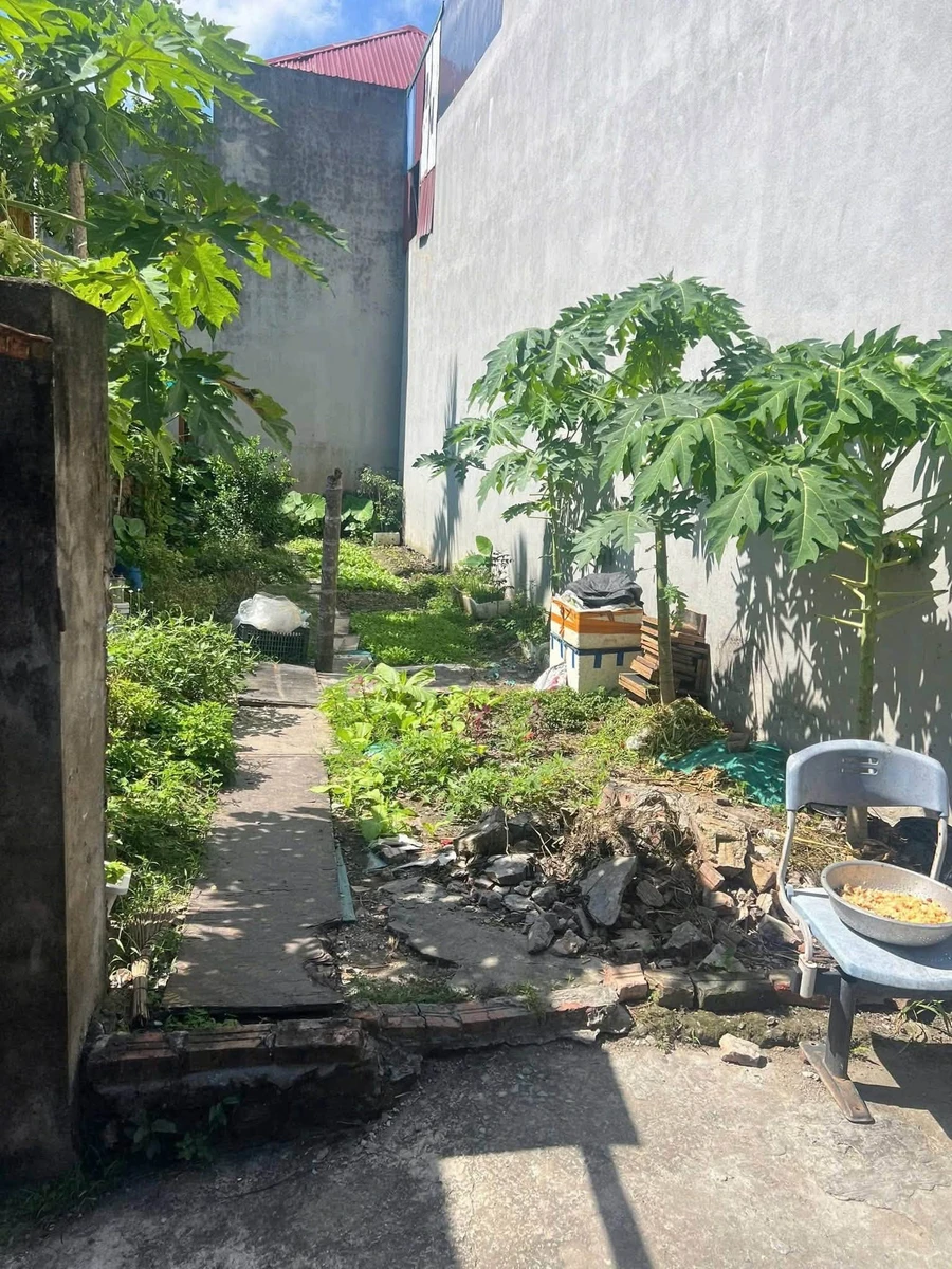 Bán lô đất 59.4 m² Tràng Cát Hải Phòng 990 triệu - Ảnh thu nhỏ 2