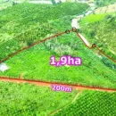 Quỹ đất gần 2000m mặt tiền Quốc lộ, ngang 20m tại Đắk Nia, Gia Nghĩa, giá chỉ từ 4,5 tỷ - Ảnh thu nhỏ 7