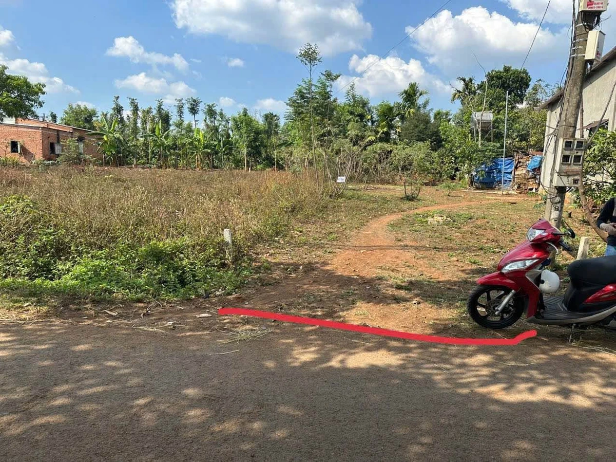 Bán đất Ea Tiêu 170m², mặt tiền đường kinh doanh 480 triệu - Ảnh thu nhỏ 2