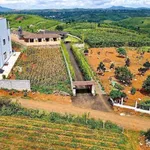 Bán đất mặt tiền Âu Cơ Bảo Lộc 100m2, 1 tỷ 8 - Ảnh thu nhỏ 5