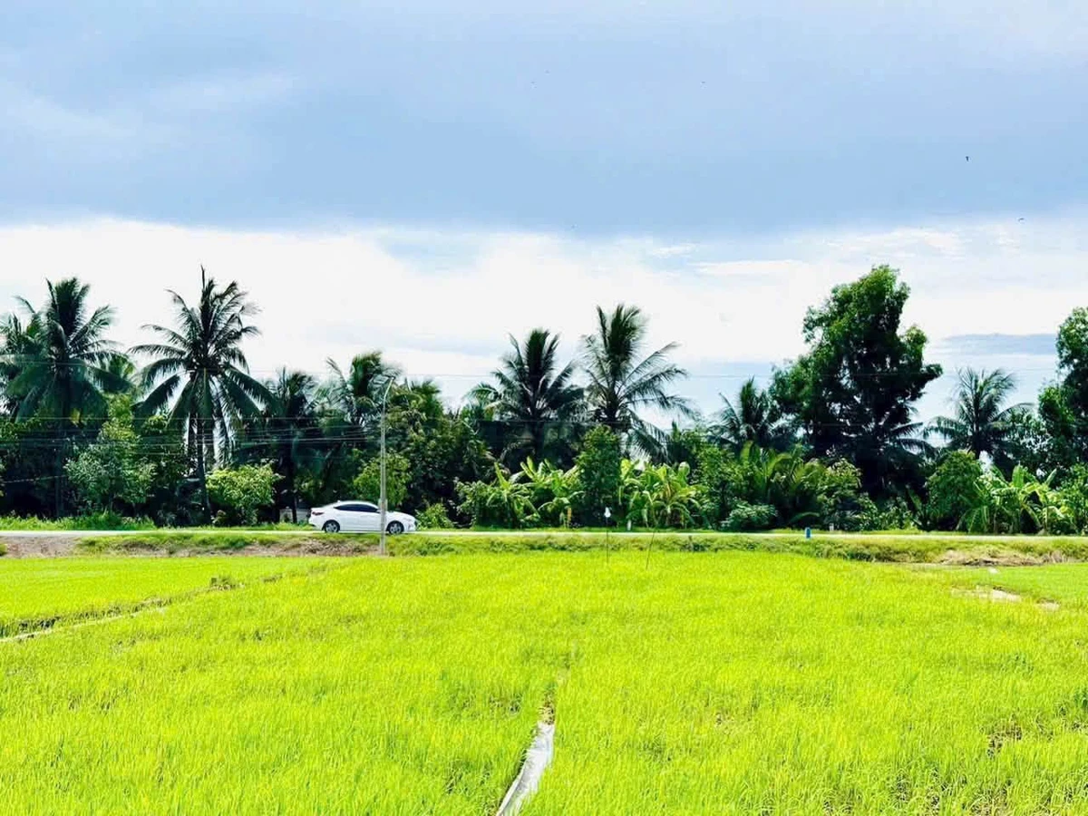 Bán lô đất 5x36m Bình Lãng, Tân Trụ 980 triệu - Ảnh thu nhỏ 2