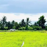 Bán lô đất 5x36m Bình Lãng, Tân Trụ 980 triệu - Ảnh thu nhỏ 2