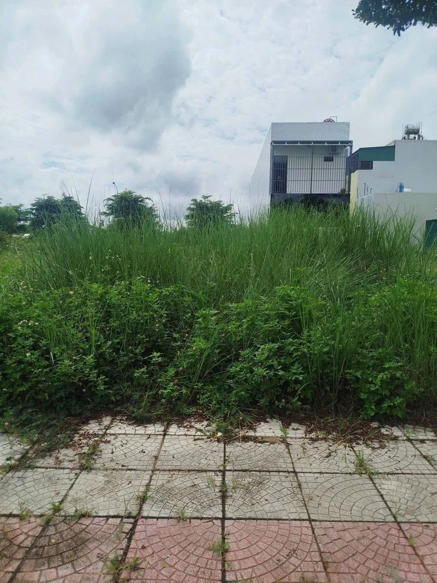 Bán đất KĐT An Phú Sinh Quảng Ngãi 118m² 1,6 tỷ - Ảnh thu nhỏ 2