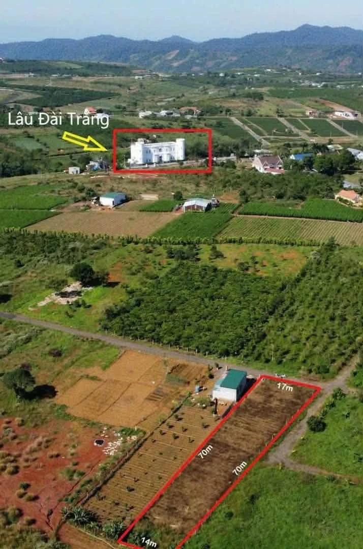 Bán đất 200m2, 2 mặt tiền, gần Đambri, Lâm Đồng - Ảnh 1