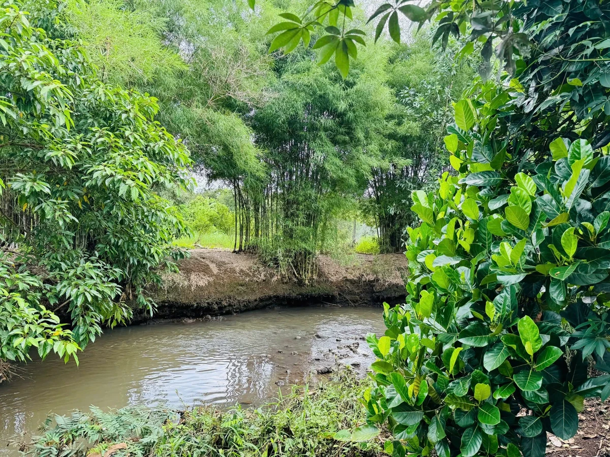 Bán đất 8000m² mặt tiền Tín Nghĩa, Bình Lộc, Đồng Nai - Ảnh thu nhỏ 3
