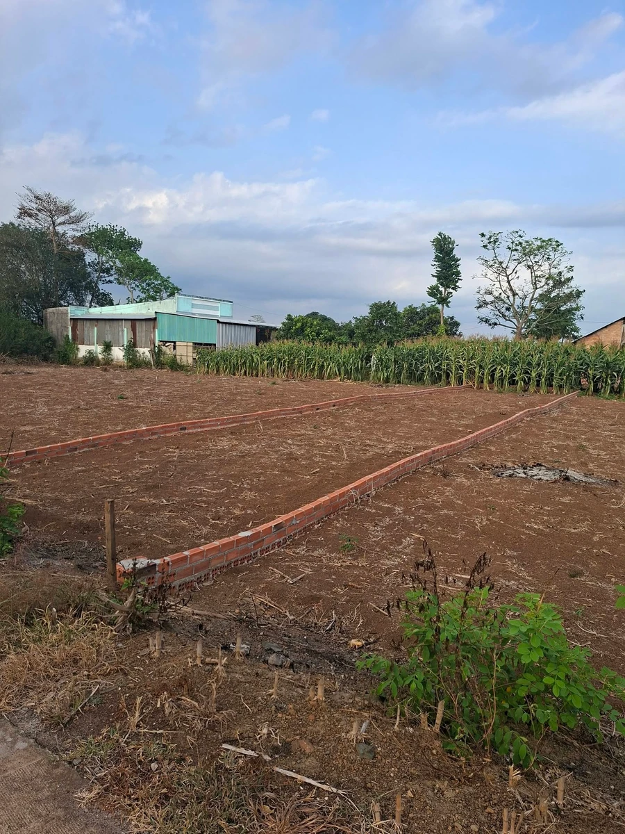 Bán đất nền thổ cư 5x28m (140m2) tại Xuân Đông, Đồng Nai giá 440 triệu - Ảnh thu nhỏ 2