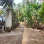 Bán đất vườn dừa 5.550m2 tại Xã Thuận Điền, Giồng Trôm, Bến Tre - Ảnh thu nhỏ 2