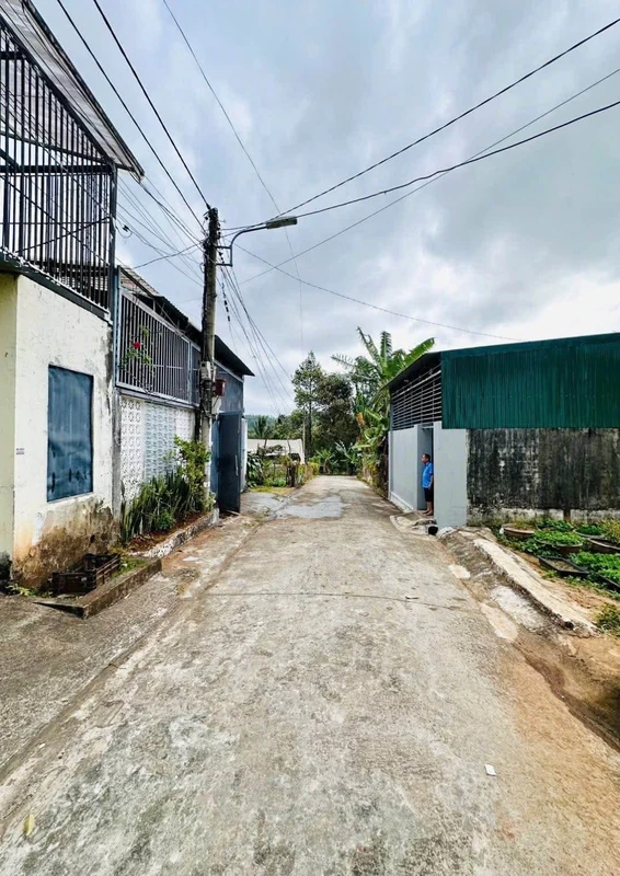 Bán đất nông nghiệp 8460m² (hơn 9 sào) Đắk Nông giá 1 tỷ 500 triệu 263m2
