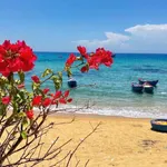 Bán đất ven biển Phú Mỹ Bình Định 136m2 590 triệu - Ảnh thu nhỏ 1