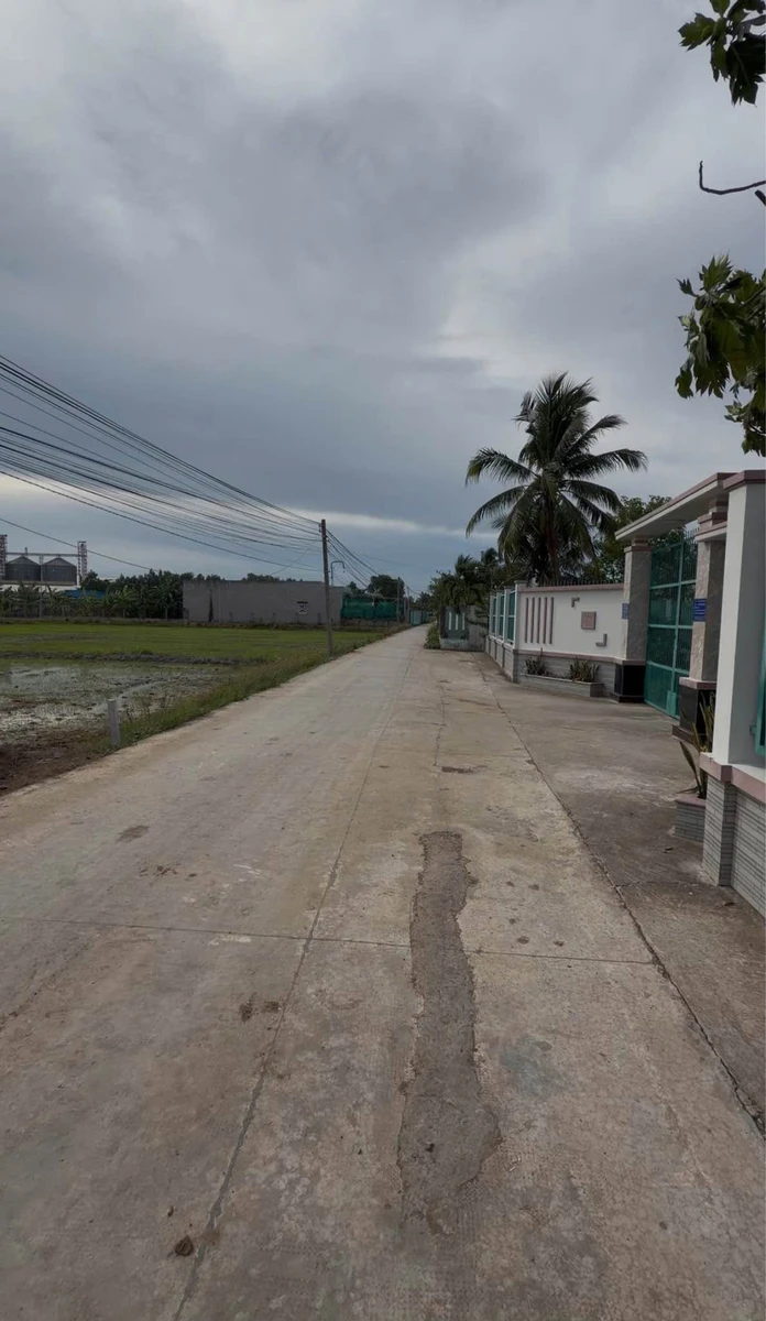 Bán đất vườn nghỉ dưỡng 1000m2 Bến Lức Long An - Ảnh thu nhỏ 2