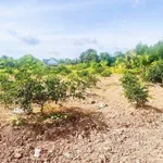 Bán 2 lô đất vườn liền kề 500m2 giá 760 triệu tại xã Thạnh Hòa, Bến Lức, Long An - Ảnh thu nhỏ 4