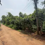 Bán đất 2000m² Xuân Tây Cẩm Mỹ 1 tỷ 500 triệu - Ảnh thu nhỏ 3
