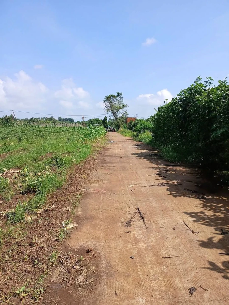 Bán đất 5x38m gần QL26 km 41, Bình Dương 289 triệu - Ảnh 1