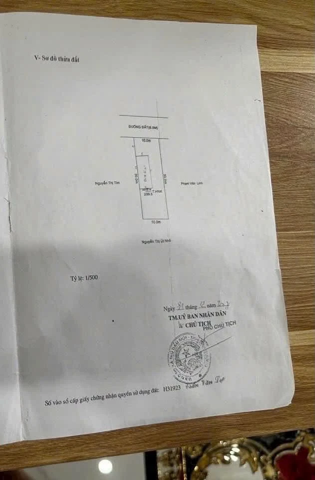 Bán lô đất mặt tiền Phú Mỹ 300m² - 6,3 tỷ - Ảnh 1