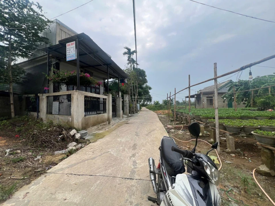Mình chính chủ cần bán đất thôn Sư Lỗ, xã Phú Hồ, huyện Phú Vang, tỉnh Thừa Thiên-Huế - Ảnh 1