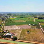 Bán đất full thổ cư 155m² chỉ 290 triệu - Ảnh thu nhỏ 4
