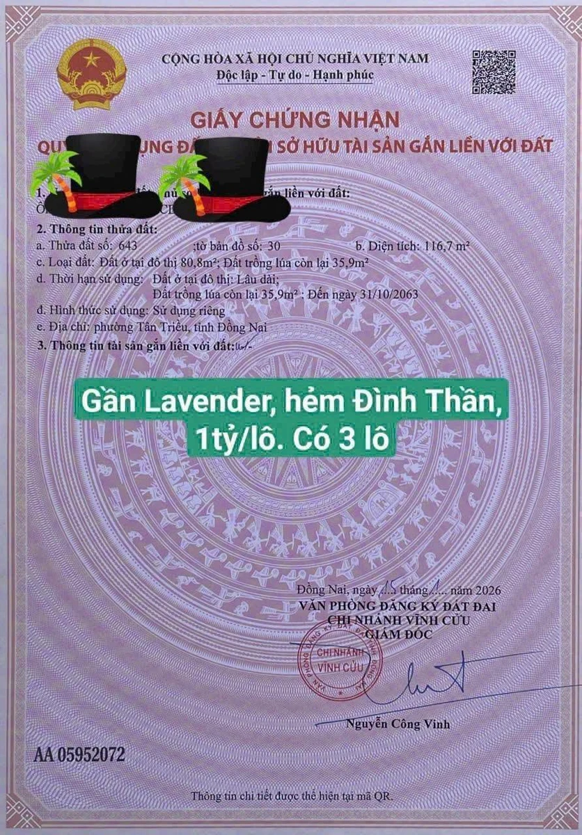 Bán đất 112.5m² ngang 4.5m tại Tân Triều, Đồng Nai - Ảnh thu nhỏ 3