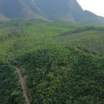 Bán 7,5 ha đất rừng sản xuất view sông, bám suối tại Đại Lộc, cách Đà Nẵng 50km - Ảnh thu nhỏ 3