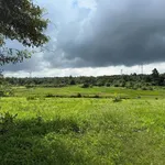 Bán lô đất sào thổ cư 300m2 view cánh đồng xã Ea Nuol, cách TP Buôn Ma Thuột 7km, giá 3,999 tỷ - Ảnh thu nhỏ 4