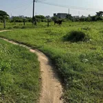 Bán đất vườn Ma Lâm 1.000 m² - Ảnh thu nhỏ 2
