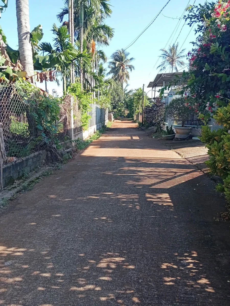 Bán đất thôn Toàn Thắng Bình Dương 300m2 giá 1 tỷ 7 - Ảnh 1