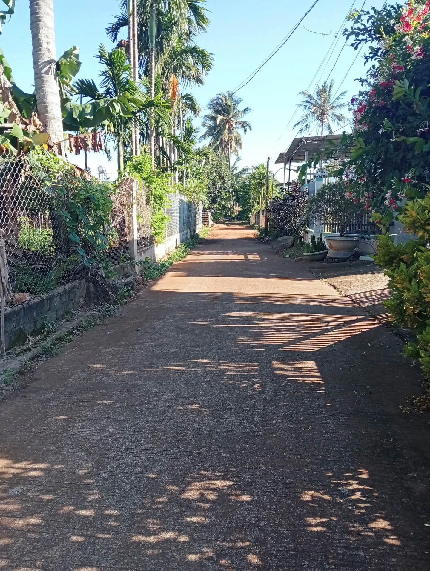Bán đất thôn Toàn Thắng Bình Dương 300m2 giá 1 tỷ 7 - Ảnh 1