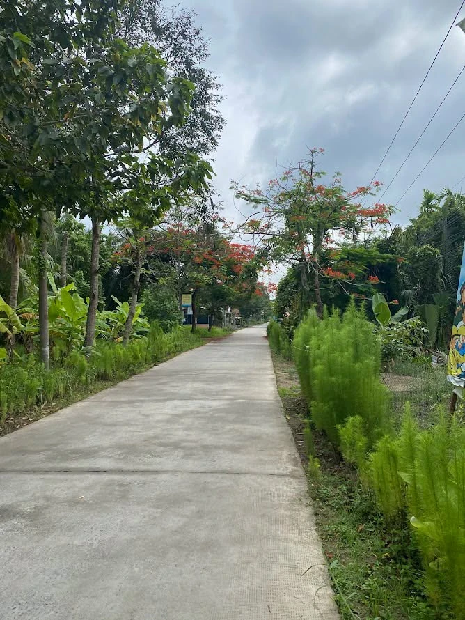 Bán đất mặt tiền Lộ Nhựa Mỹ Thạnh Bến Tre 1.337m2 - Ảnh 1