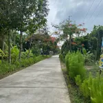 Bán đất mặt tiền Lộ Nhựa Mỹ Thạnh Bến Tre 1.337m2 - Ảnh thu nhỏ 1