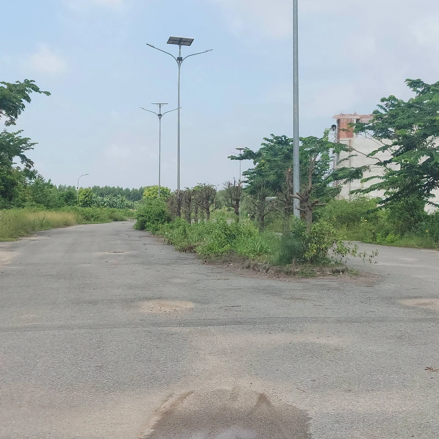 Bán lô đất liên kế 5x22m khu An Hưng Phát Phước Tân - Ảnh 1