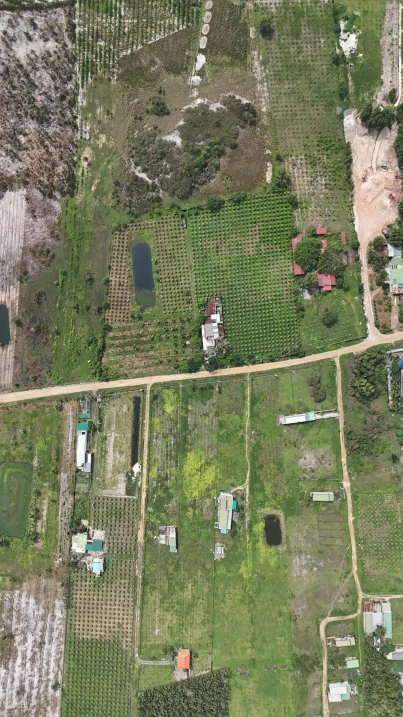 Diện tích lớn 1.4ha, có 500m2 thổ cư, đường ô tô, SHR, tại La Gi, thích hợp làm Homestay, phân lô - Ảnh thu nhỏ 5