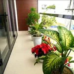 Nhà 2 tầng bán Hòa Minh 140m² 2 mặt tiền 6 tỷ - Ảnh thu nhỏ 3