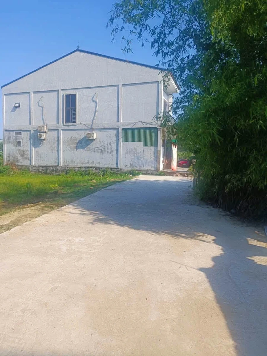 Bán đất Xóm 2 Nghi Kim 55m² giá 1 tỷ 50 - Ảnh thu nhỏ 3