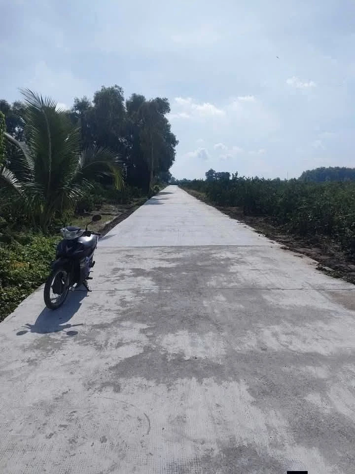 Bán nền đất vườn mặt tiền 730m2 Tây Ninh - Ảnh thu nhỏ 4