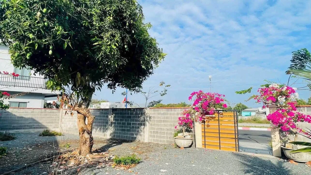 Bán lô góc 178,8m2 mặt tiền đường ven biển Phước Hải, Vũng Tàu - Ảnh thu nhỏ 4