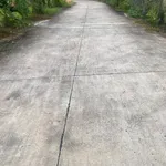 Bán đất thổ cư 6x25m (150m2) giá 599 triệu tại Bình Trinh Đông, Tân Trụ - Ảnh thu nhỏ 3