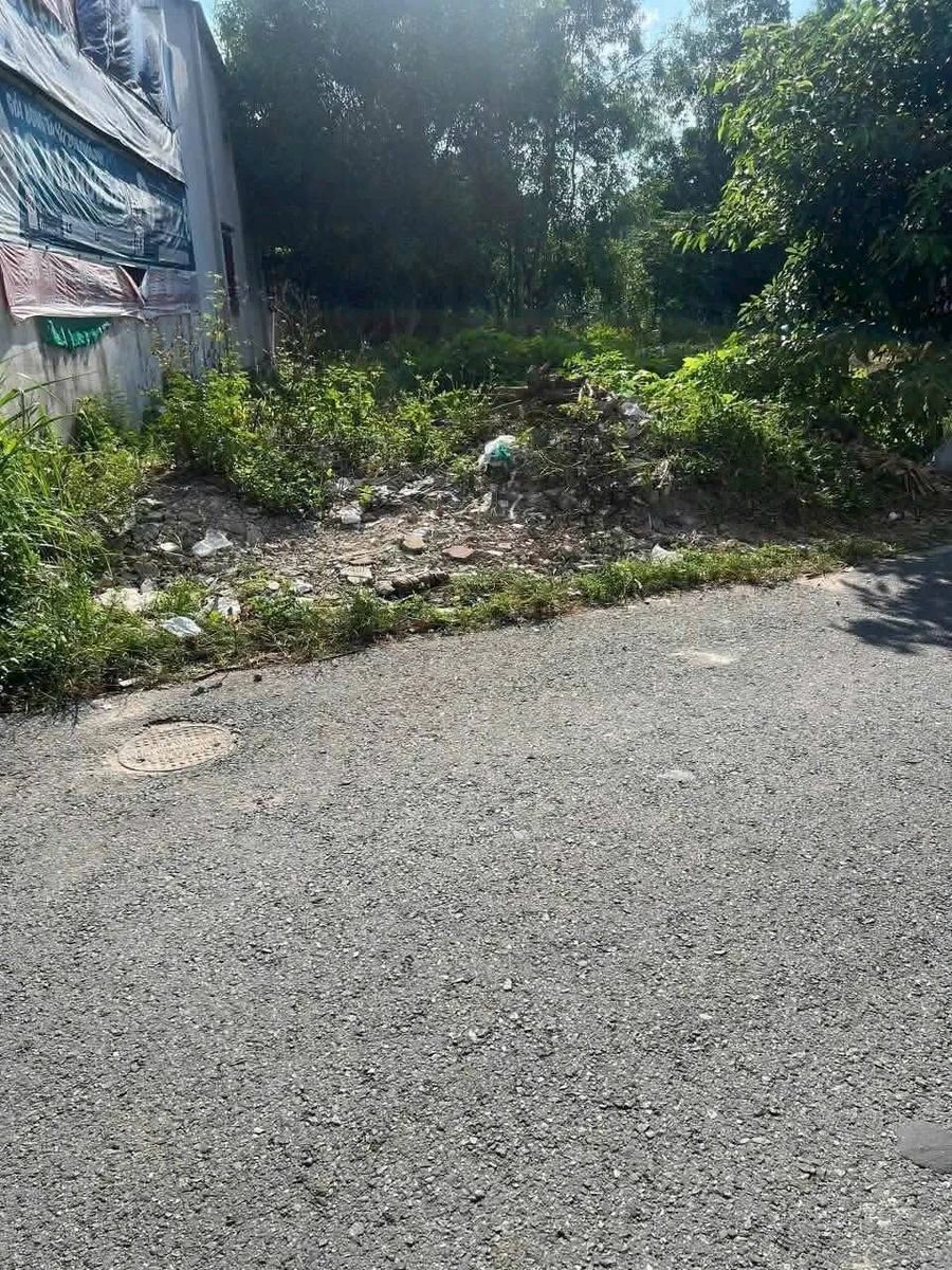 Bán đất Phú Lợi Thủ Dầu Một 149m2, hẻm 288 - Ảnh thu nhỏ 2