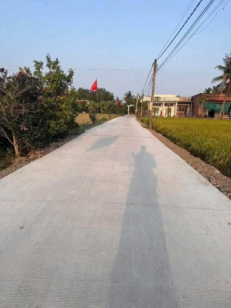 Bán đất vườn 909m2 tại Mỹ Lệ, Cần Được, Long An 1 tỷ 550 triệu - Ảnh 1