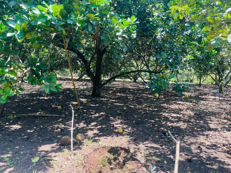 Bán đất vườn 600m² Long Khánh 550 triệu