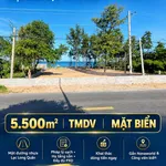 Bán đất mặt biển Mũi Né 1.300m² đường Nguyễn Cơ Thạch giá 15 tỷ - Ảnh thu nhỏ 2