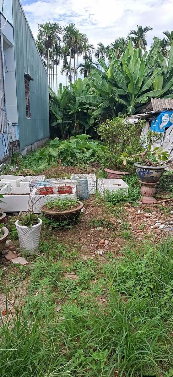 Chính chủ em cần tiền muốn bán nhanh 177m² toàn bộ thổ cư thuộc xã Phú Nghĩa, Lạc Thủy, Hòa Bình hungnhatot - Ảnh 1