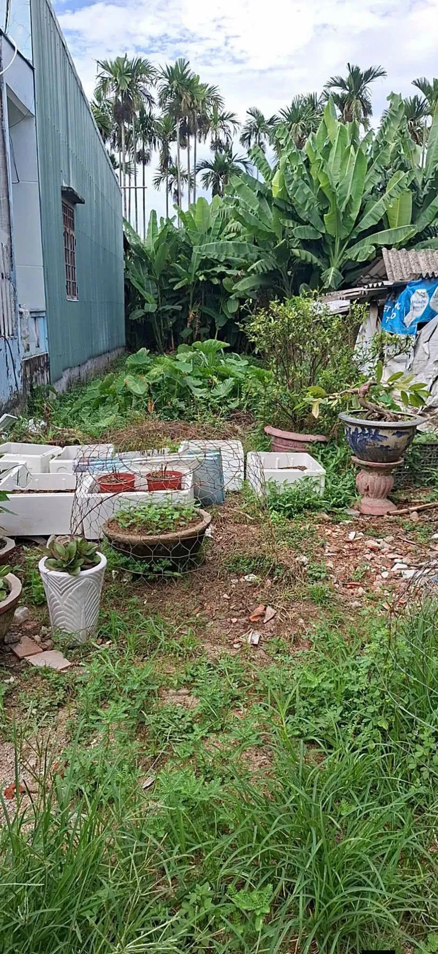 Chính chủ em cần tiền muốn bán nhanh 177m² toàn bộ thổ cư thuộc xã Phú Nghĩa, Lạc Thủy, Hòa Bình hungnhatot - Ảnh 1
