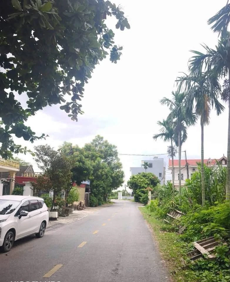 Bán lô đất mặt đường 361 Hồ Sen Kiến Thụy 106,7m2 - Ảnh thu nhỏ 3