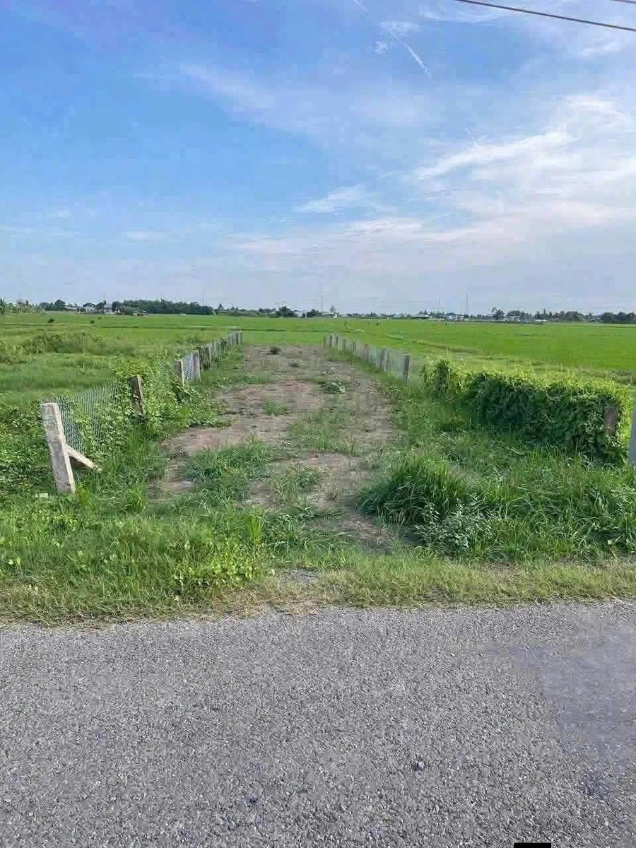 Bán 167m2 đất thổ mặt tiền đường nhựa Nguyễn Thị Lầu, Mỹ Thạnh, Tân Trụ, Long An - Ảnh 1