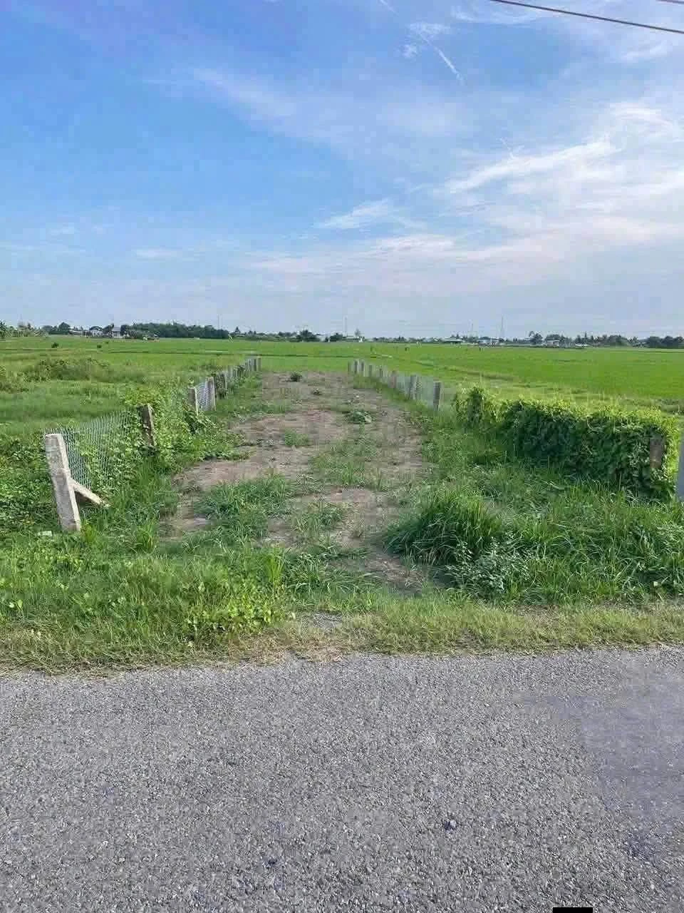Bán 167m2 đất thổ mặt tiền đường nhựa Nguyễn Thị Lầu, Mỹ Thạnh, Tân Trụ, Long An - Ảnh 1