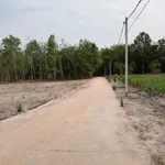 Bán đất gần KCN Becamex Bình Dương 155m2 330 triệu - Ảnh thu nhỏ 5